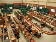 Superpeso y tomate zacatecano: cómo afecta el tipo de cambio a las exportaciones agrícolas