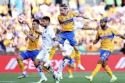 Tigres Fracasa con Actuación Gris ante Gallos en Partido Vespertino