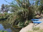 Tlajomulco descarta ser origen de contaminación en Canal de Las Pintas tras estudios técnicos