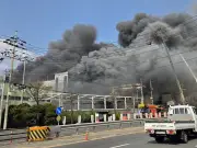 Tragedia en Corea del Sur: Incendio en planta automotriz deja 14 muertos y 60 heridos