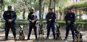 Uzi, Atena, Beretta y Nix: Los nuevos perros policía que reforzarán la seguridad en CDMX
