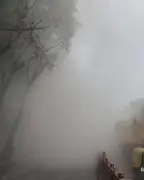 Vecinos de San Antonio Abad relatan terror durante colapso de edificio en demolición