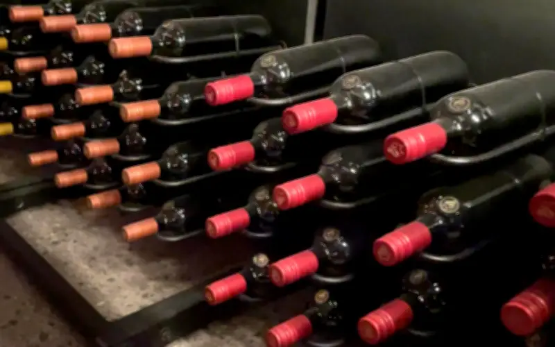 Especialistas urgen etiquetado de advertencia en bebidas alcohólicas ante alarmante consumo juvenil