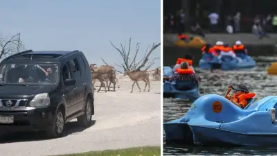 15 Parques y Lugares Imperdibles en México para Celebrar el Día del Niño