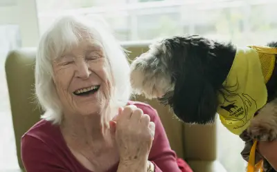 5 razas de perros ideales para adultos mayores: descubre la mejor compañía