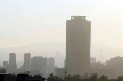 Activan contingencia: no circulan 0 y 00, engomado amarillo