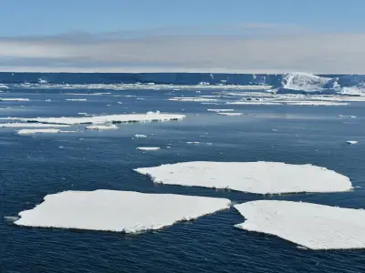 Aguas cálidas amenazan plataformas de hielo antárticas desde abajo