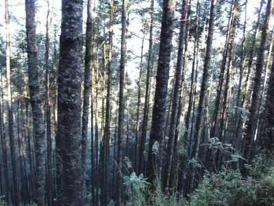 Ajusco implementa protocolo de seguridad tras desapariciones para Semana Santa