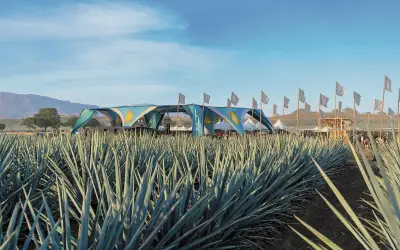 Akamba 2026: El Festival Electrónico que Late en los Campos de Agave de Tequila