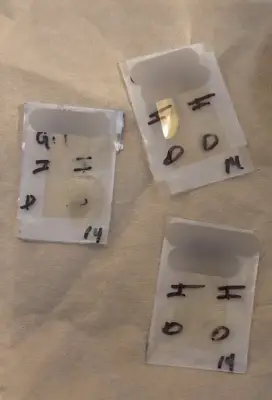 Alerta en Jalisco por fraude con clonación de huellas dactilares