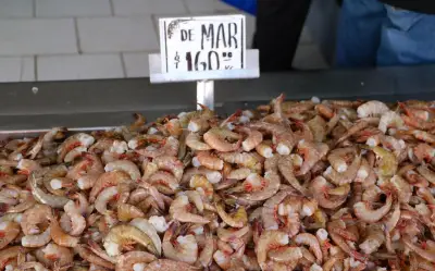 Alerta Sanitaria: Nodavirus Marino Ahora Infecta a Humanos en China