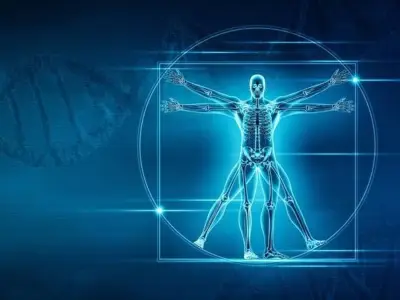 Atlas 3D Revoluciona el Estudio de la Anatomía Humana con Imágenes Microscópicas