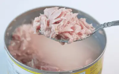 Atún en agua vs aceite: diferencias en calorías, sabor y nutrientes