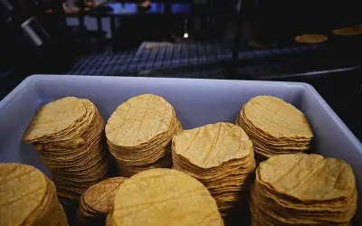 Aumento en el precio de la tortilla en México: Conflicto entre productores y gobierno