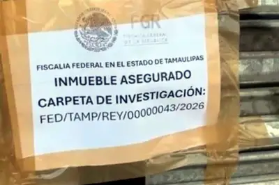 Autoridades clausuran tienda china en Reynosa por presuntas irregularidades