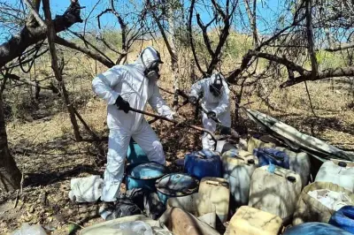 Autoridades Desmantelan Narcolaboratorio de Los Chapitos en Sinaloa