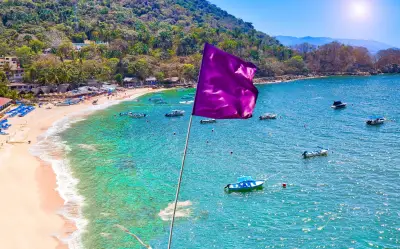 Bandera Morada en la Playa: El Peligro de las Malaguas en Costas de Jalisco y Nayarit