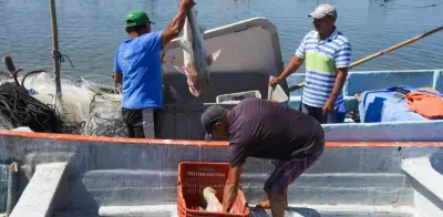 Bienpesca 2026: ¿8 mil o 15 mil pesos? Aclaramos el apoyo para pescadores