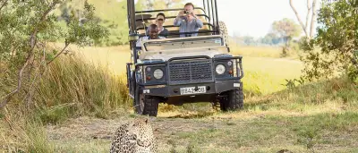 Botsuana: El corazón salvaje de África con safaris únicos en el Delta del Okavango