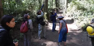 CDMX busca ser la ciudad con más biodiversidad registrada del mundo