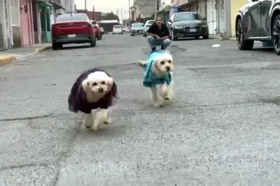 Cereza recuperada tras explosión en Puente de la Concordia