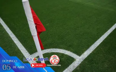 Cierre de Jornada 13: Chivas vs Pumas EN VIVO este domingo en Liga MX