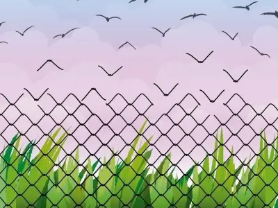 Colibres: incubando negocios y reinserción social desde la cárcel en México