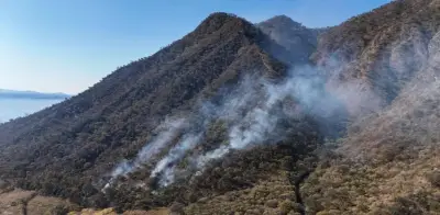 Conafor alerta: Incendios forestales en México aumentan con 42 siniestros activos