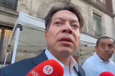 Delgado minimiza huelga de la CNTE durante el Mundial