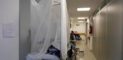 Dengue afecta a 24 estados mexicanos con 1,332 casos y tres fallecimientos en 2026