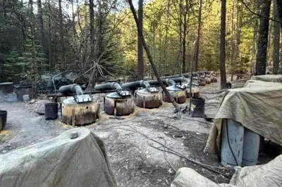 Descubren Red de Narcolaboratorios en Chihuahua: Impacto en Seguridad y Salud