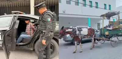 Detienen a recolector de basura en Monterrey por maltratar a yegua durante su jornada laboral