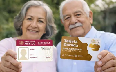 Diferencias clave entre la credencial INAPAM y la Tarjeta Dorada para adultos mayores en México