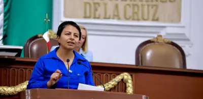 Diputada del PAN urge reformar Ley de Reconstrucción tras accidente en San Antonio Abad
