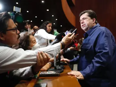 Diputado Morena propone cerrar vacíos legales sobre máquinas tragamonedas chinas