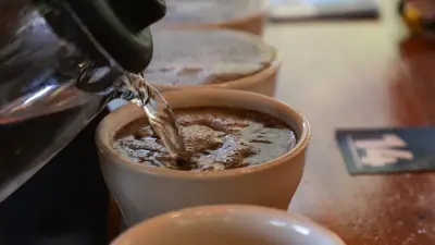 El Café Latinoamericano Conquista el Paladar Chino: Un Negocio en Crecimiento