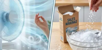 El Truco del Hielo y Sal para Ventiladores: Ciencia Casera Contra el Calor