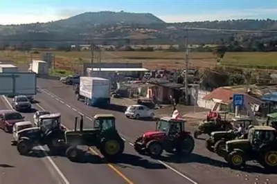 Empresarios Exigen Libre Tránsito en Carreteras para Evitar Pérdidas Económicas