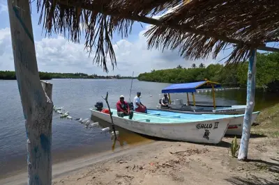 EUA Denuncia a México por Prácticas Ilegales en Pesca y Tala de Madera
