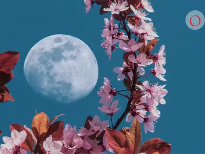 Eventos astronómicos mayo 2026: Luna de Flores y Luna Azul