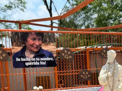Exigen devolución de animales del Refugio Franciscano en CdMx