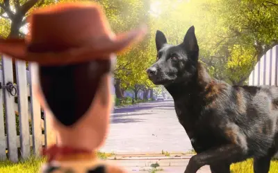 Fallece Capitán, el oficial canino héroe de los Bomberos de Zapopan tras una década de servicio