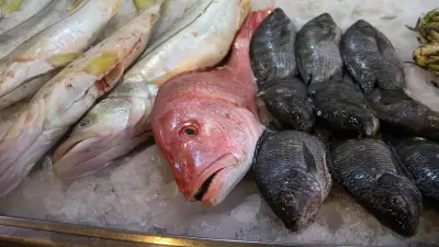 Feria del Mar 2026 en CDMX: Sabores del Océano en Gustavo A. Madero