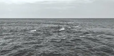 Fotógrafo mexicano César Rodríguez gana World Press Photo con serie sobre crisis climática