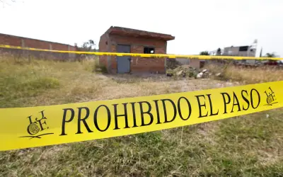Hallan 14 víctimas en fosas clandestinas en Lomas de la Capilla, Jalisco