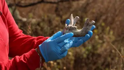 Hallan cuerpo de buscadora Cecilia García en Guanajuato; buscaba a su hermano desaparecido