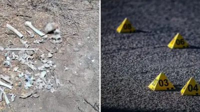 Hallan ocho cráneos y restos calcinados en Reynosa; colectivo alerta sobre posible zona de exterminio