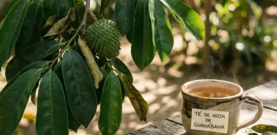 Hoja de Guanábana: Beneficios Medicinales y Riesgos Neurotóxicos Esenciales