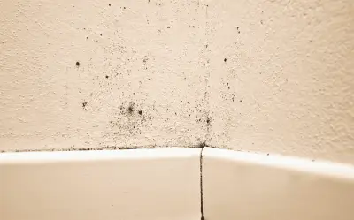 Humedad en el hogar: cómo detectarla y eliminarla para proteger tu salud