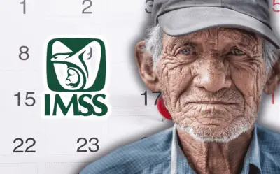 IMSS advierte retraso en pago de pensiones para mayo de 2026 según calendario oficial